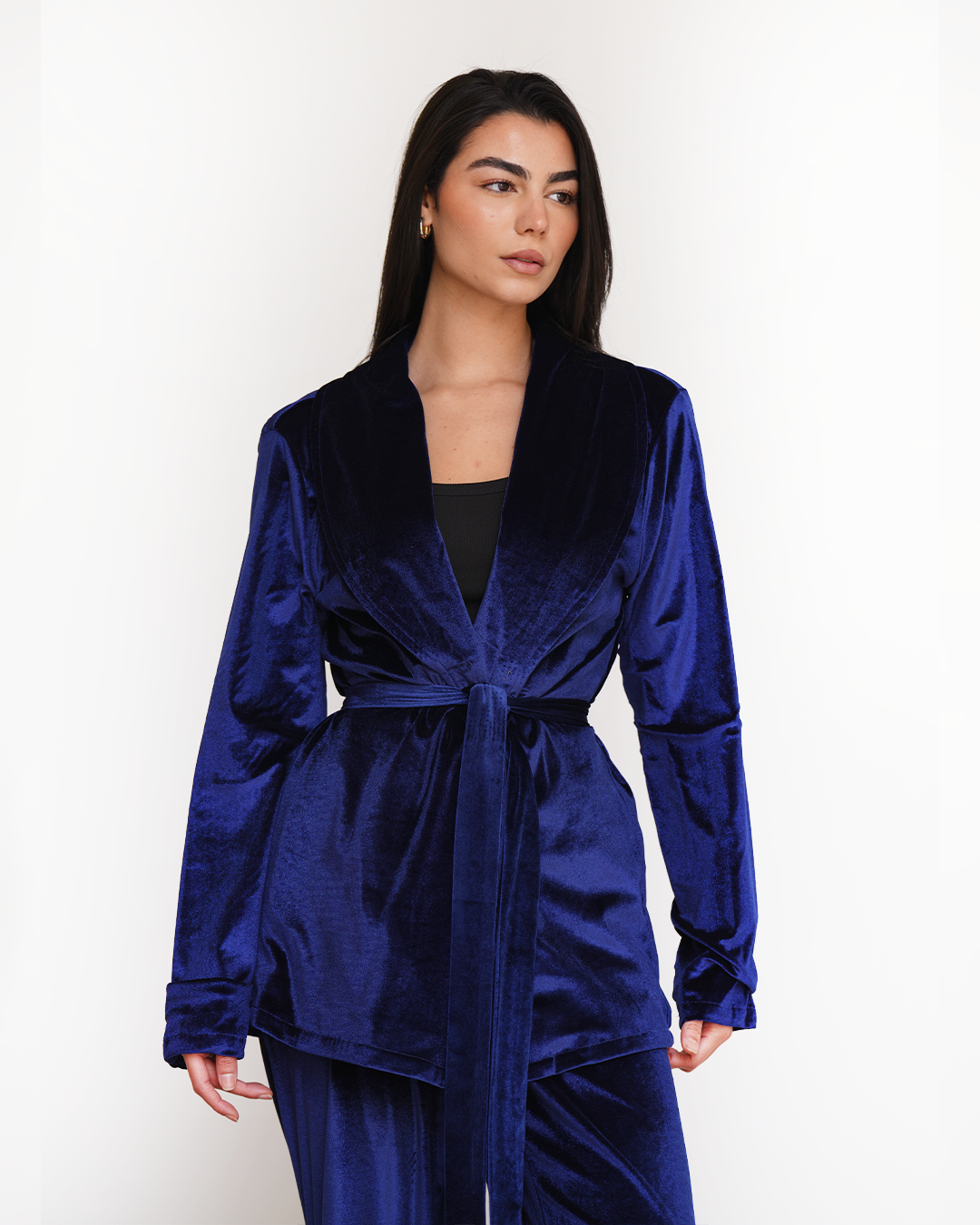 Blue Velvet Embroidered Blazer