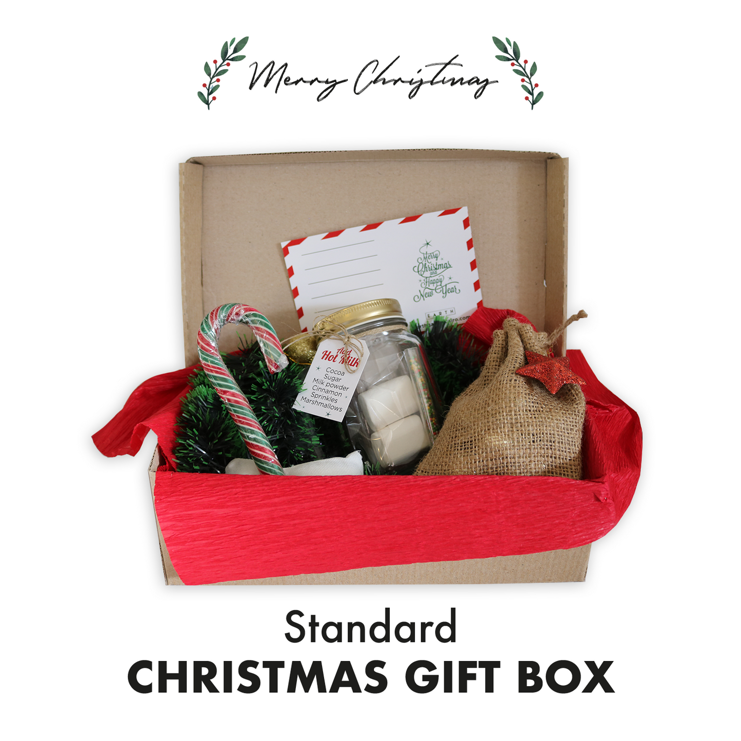 Standard Christmas Gift Box